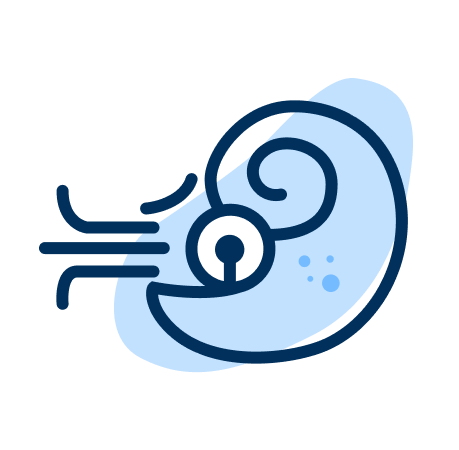 Logo de la plateforme Nautilus qui représente un nautile stylisé